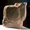 Gazing Bull I