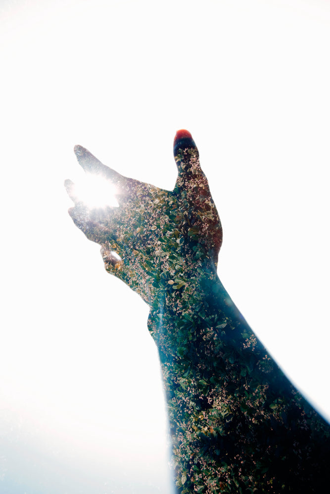 Hand and Nature