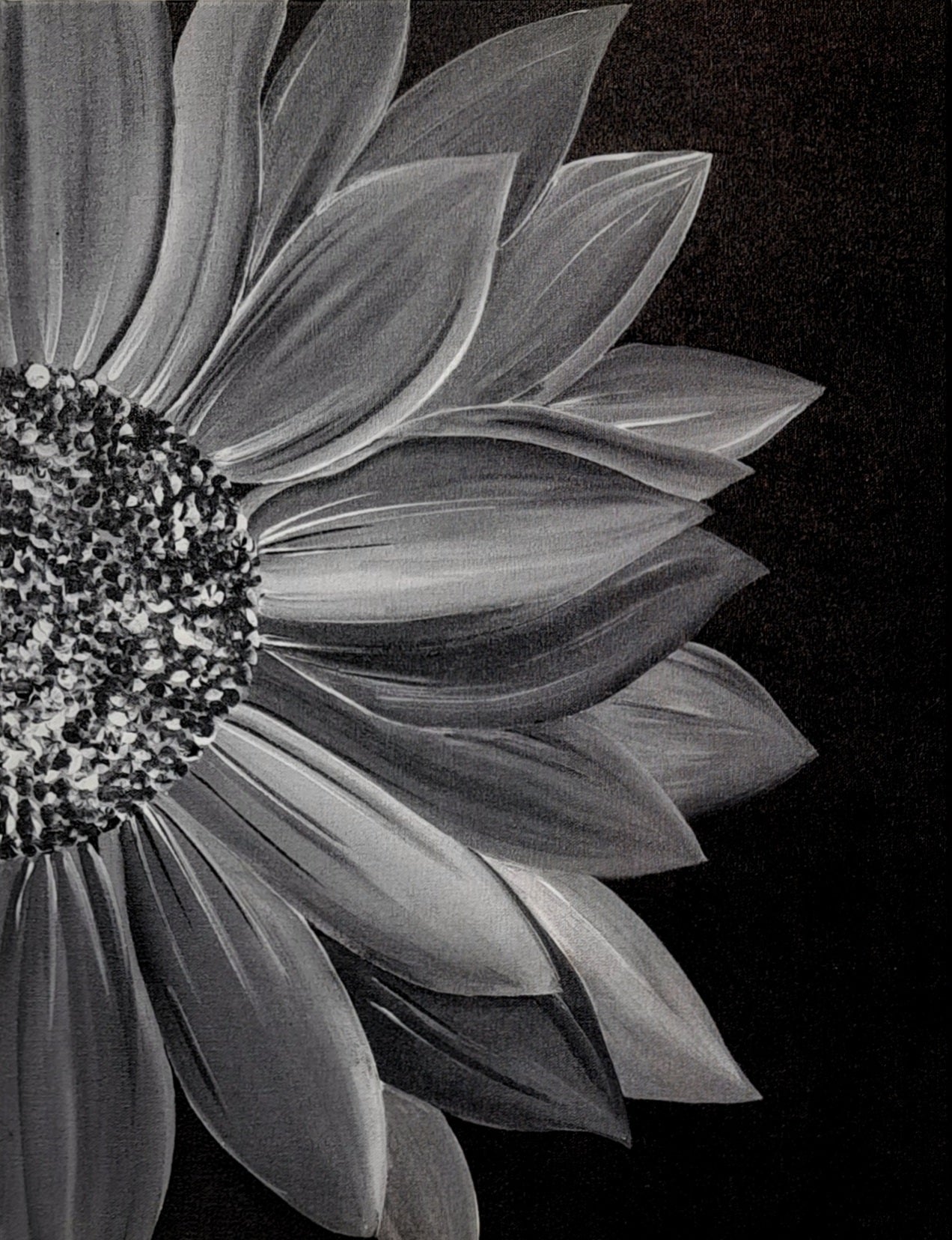 Colourless sunflower