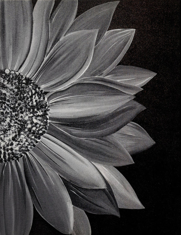Colourless sunflower
