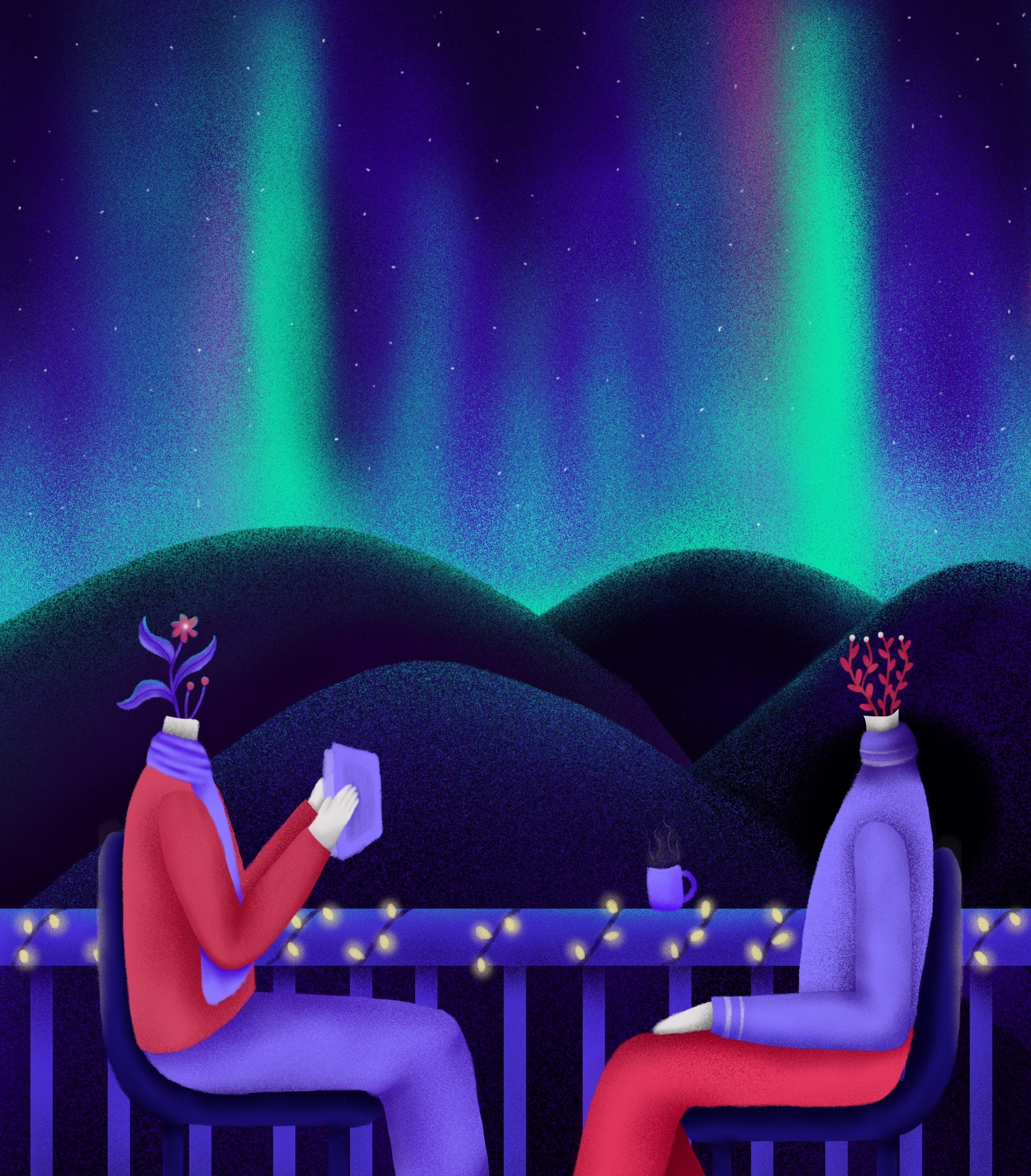 The Auroras