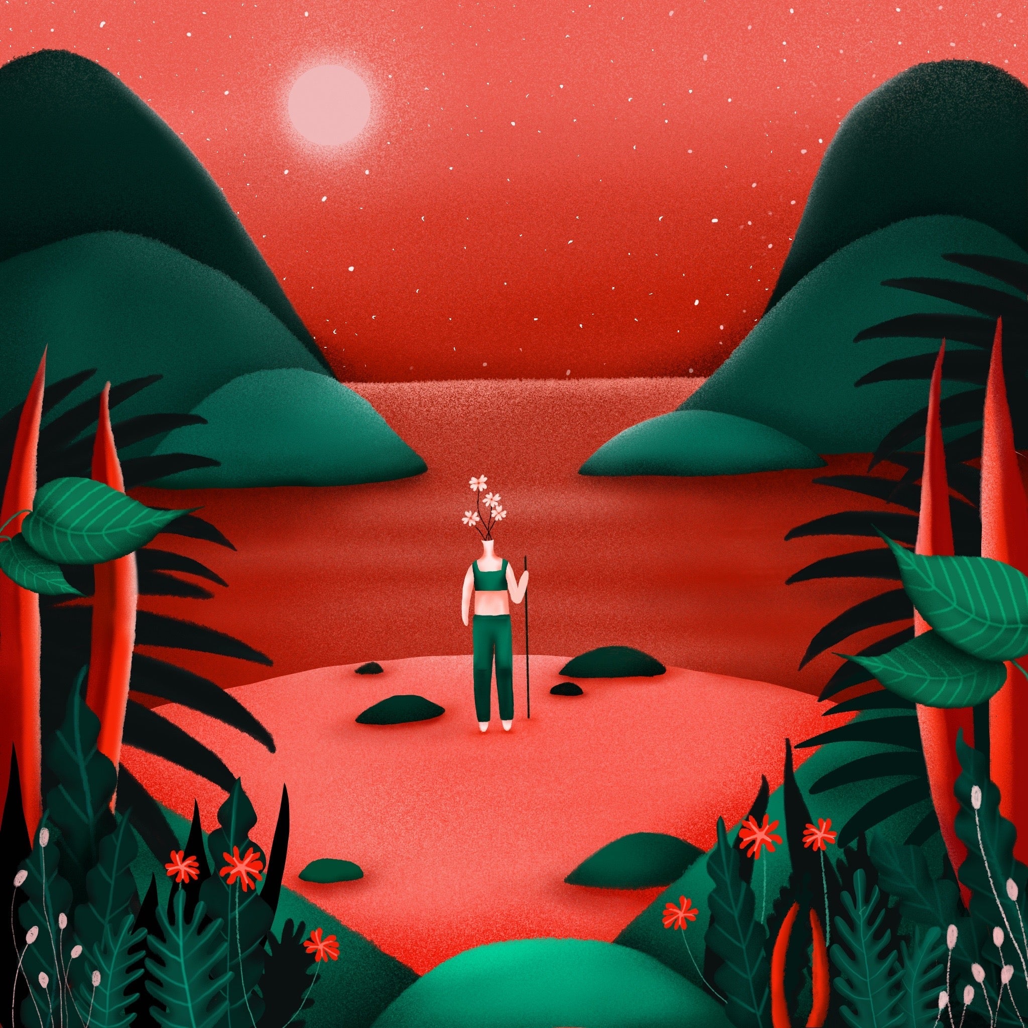 The Hiker