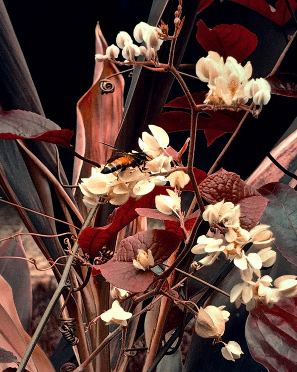 Autumn Bee