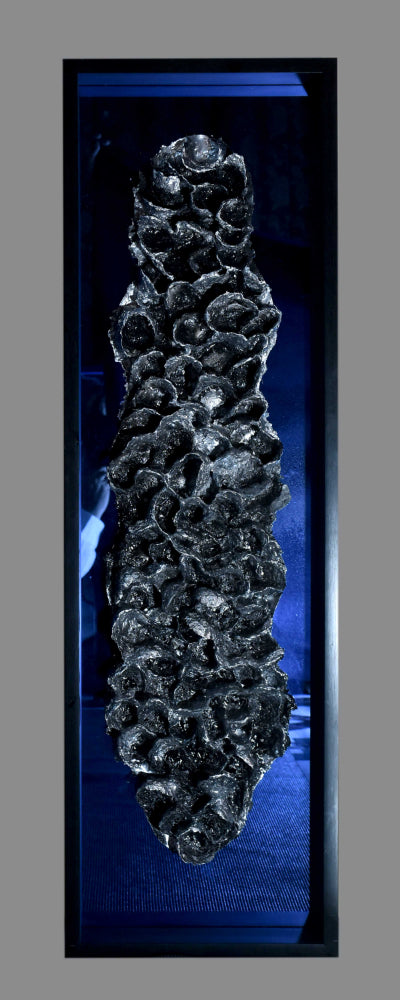 Reef Elements Series 3